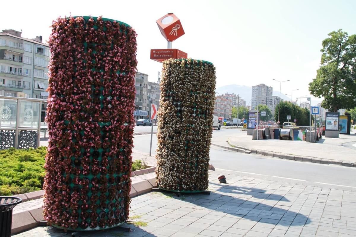 Kayseri’de Bu Çiçeklerin Adını Daha Önce Duydunuz Mu (3)