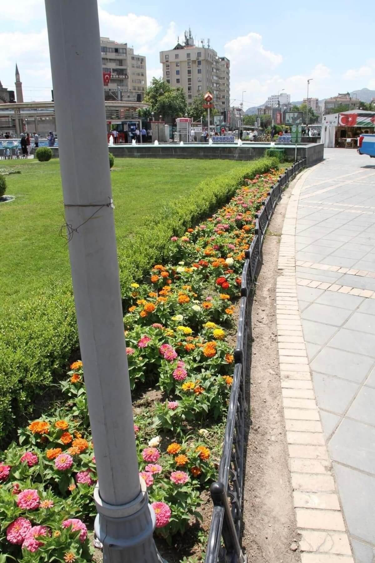 Kayseri’de Bu Çiçeklerin Adını Daha Önce Duydunuz Mu (4)