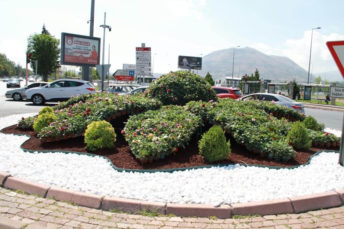 Kayseri’de Bu Çiçeklerin Adını Daha Önce Duydunuz Mu (6)