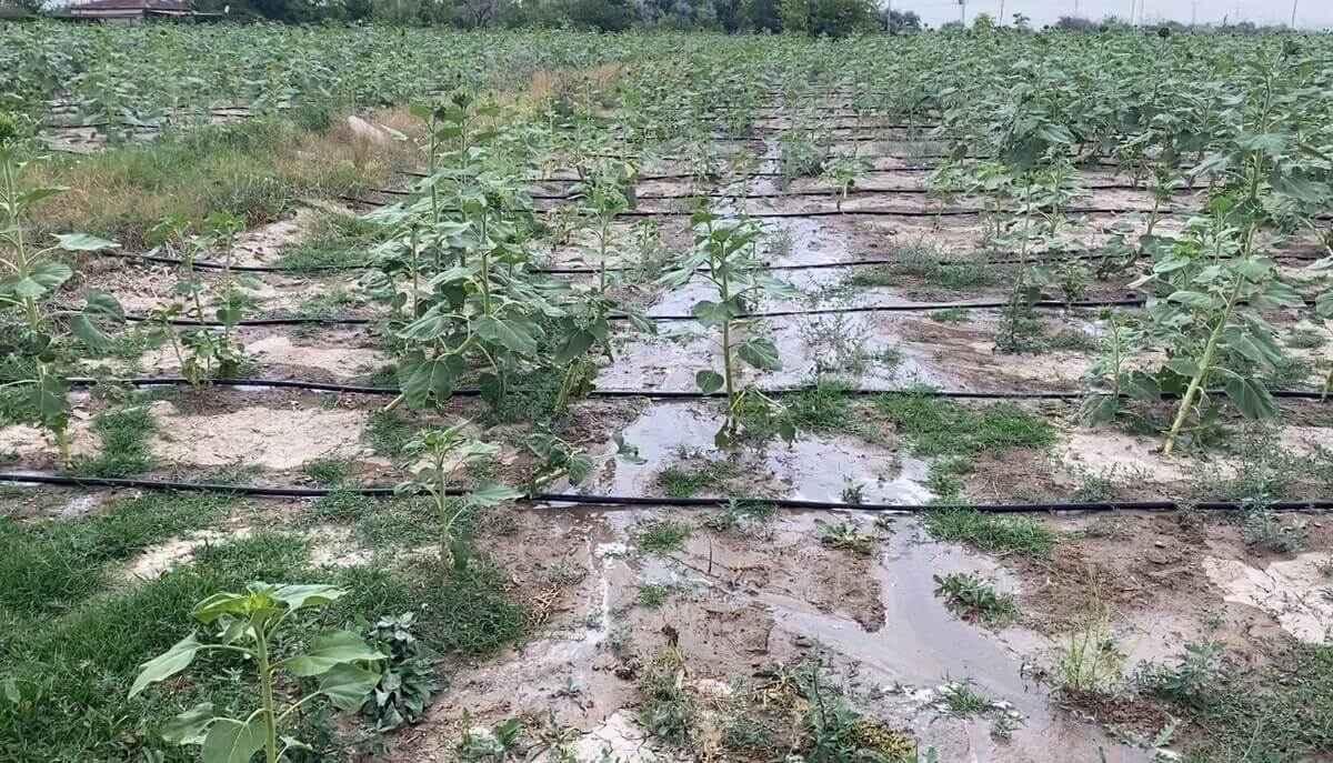 Kayseri’de Dikkat Çeken Çalışma! 5 Bin Vatandaşa Hizmet Veriyor! (2)