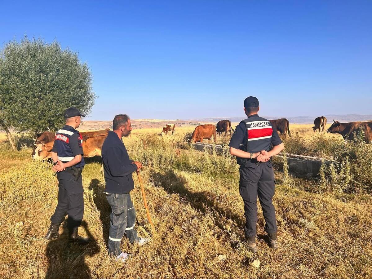 Kayseri’de Jandarma Ekipleri Harekete Geçti! Sabaha Karşı Buldular! (3)