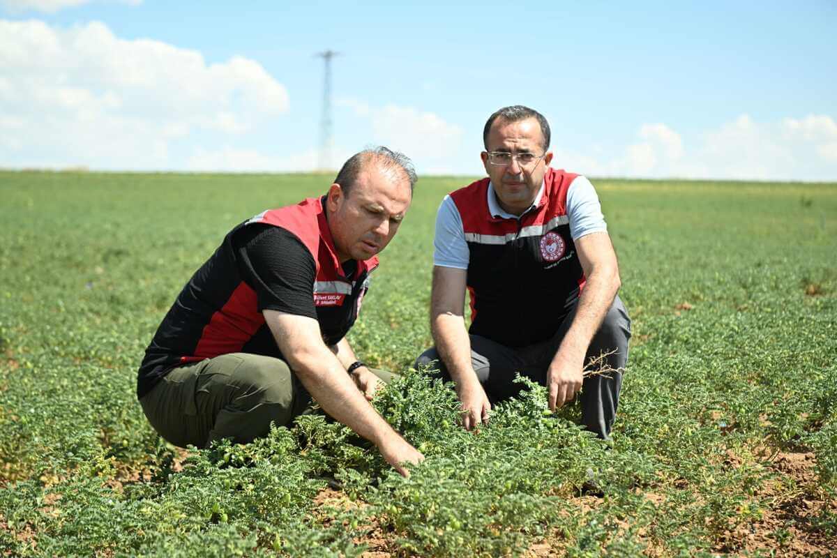 Kayseri’de Müdür Sahaya İndi Ve Uyardı! (1)