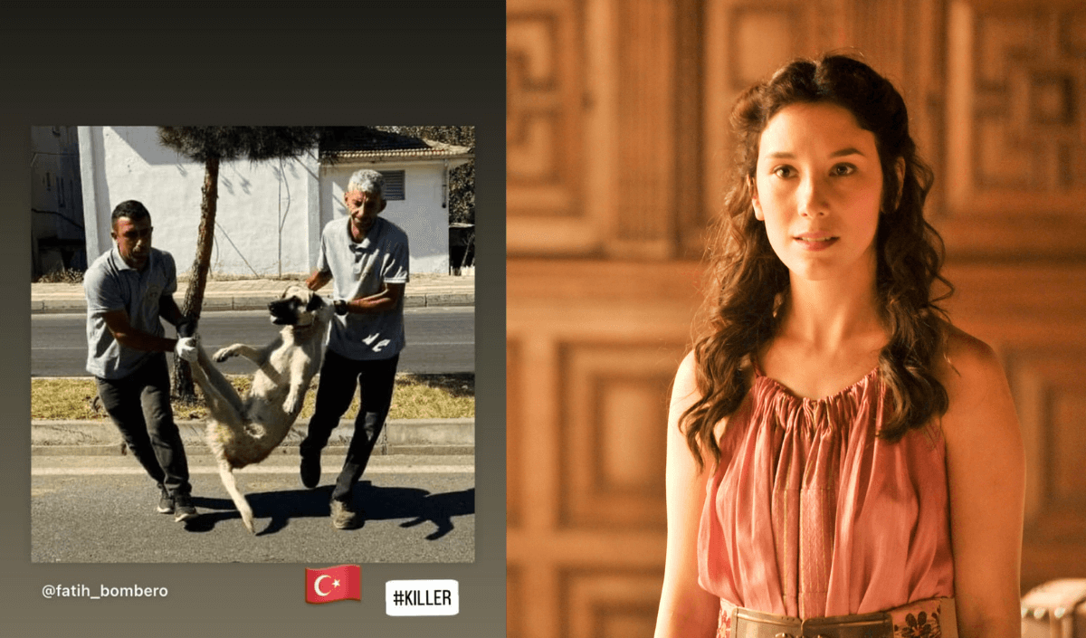 Türkiye'yi Engellemişti! Kayserili Ünlü Oyuncunun 'Katil' Paylaşımı Dikkat Çekti!
