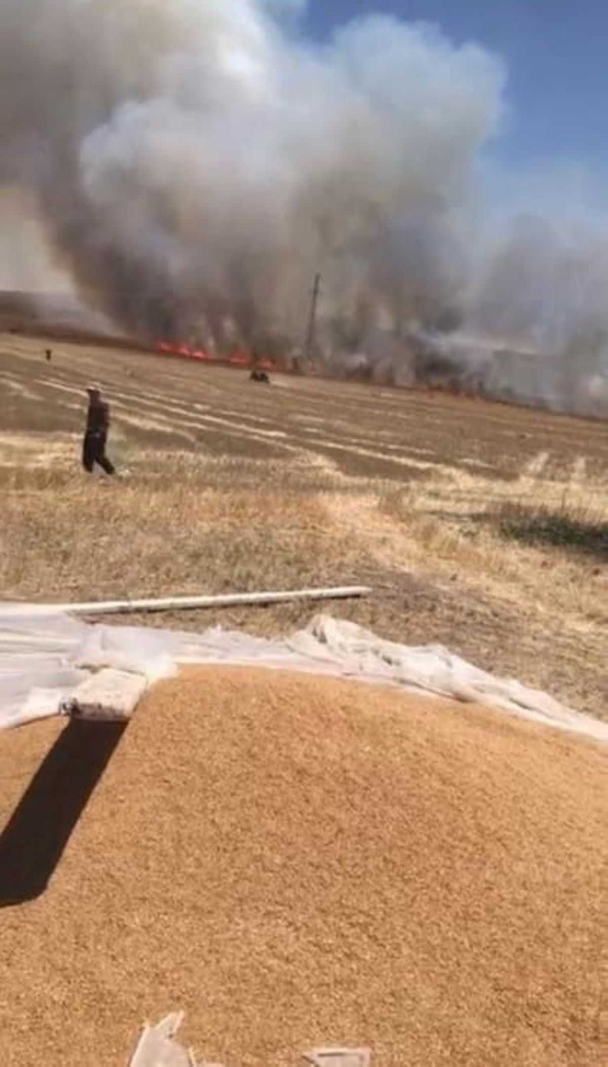Nevşehir Felaketi Yaşadı! Tarlalar Küle Döndü 2