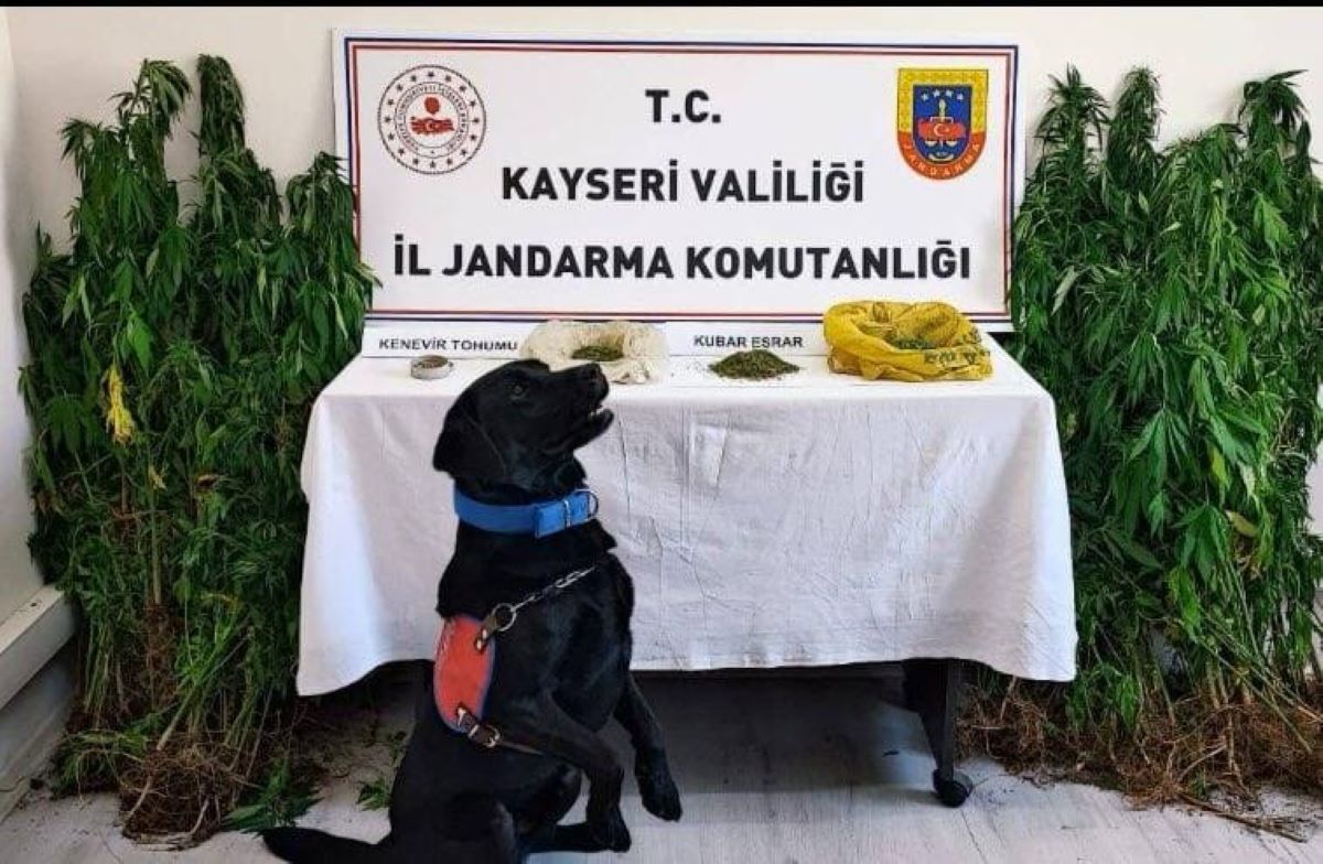Pınarbaşı’da Baskın Evden Bakın Neler Çıktı! 1