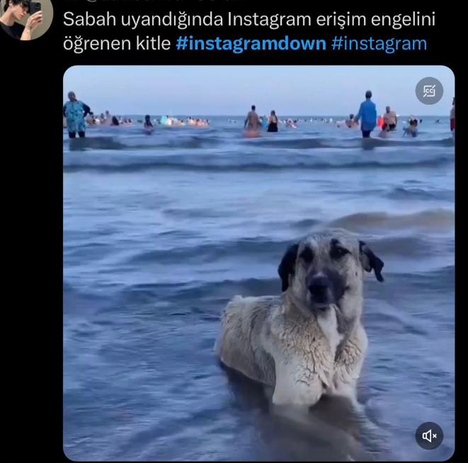Insta3