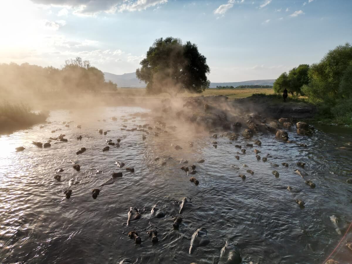 Erciyes'in Eteklerindeki O Görüntüler Merak Uyandırdı!-3