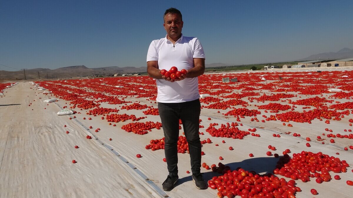 Erciyes Dağı Etekleri Kan Kırmızı Oldu! İşte Sebebi...