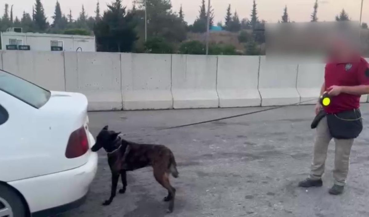 Adsız (1200 X 705 Piksel) 2024 08 24T112201.182
