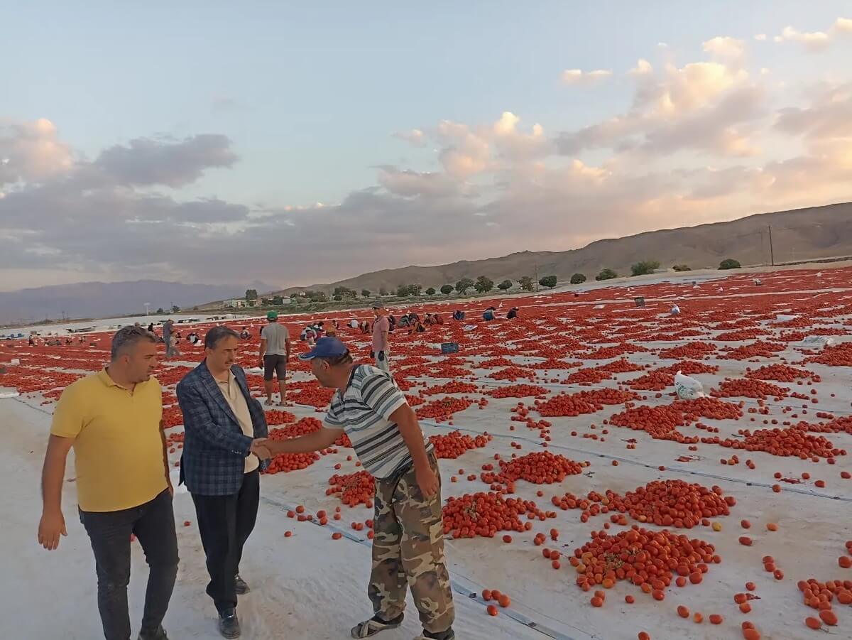 Avrupalı Üreticiler Gözünü Kayseri’nin O İlçesine Dikti! (2)