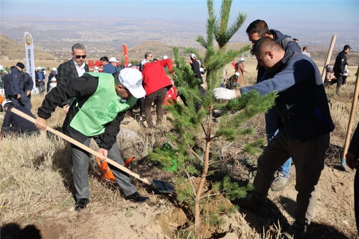 Kayseri’nin O ilçesi Ağaçlarla Zenginleşiyor!