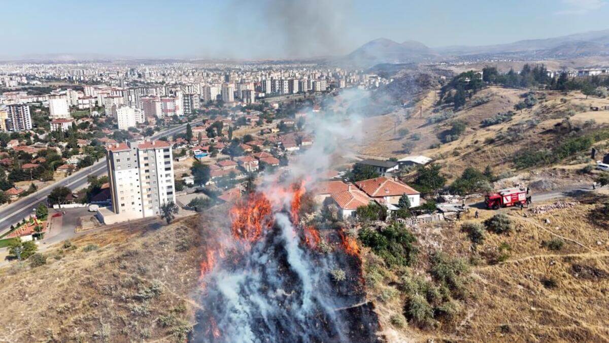 Kayseri’de Mahalleye Korku Saçtı, Evin Etrafını Kuşattı!