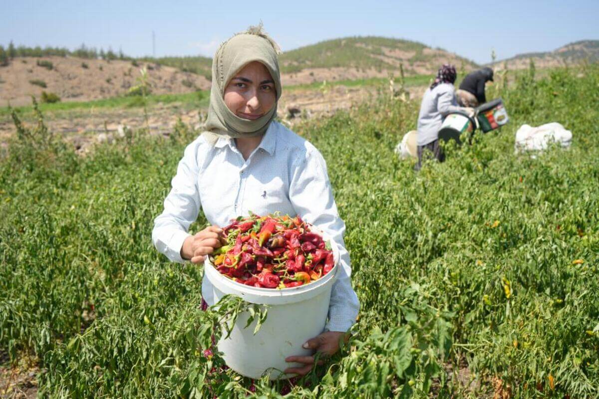 Türkiye’de En Acısını Onlar Alıyor! Kayseri’de İçlerinde!