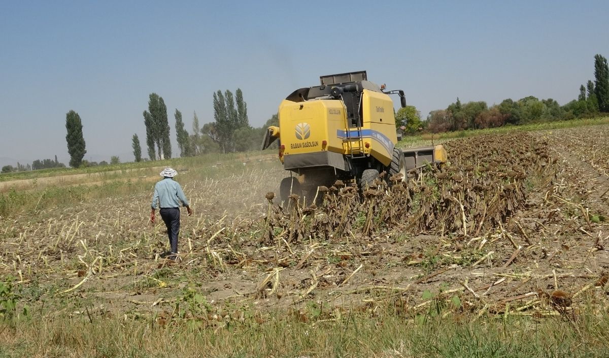 Çiçek Hasat
