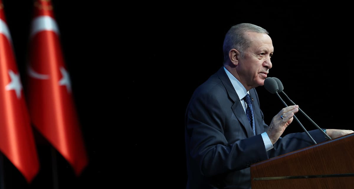 Erdogann (1) (1)