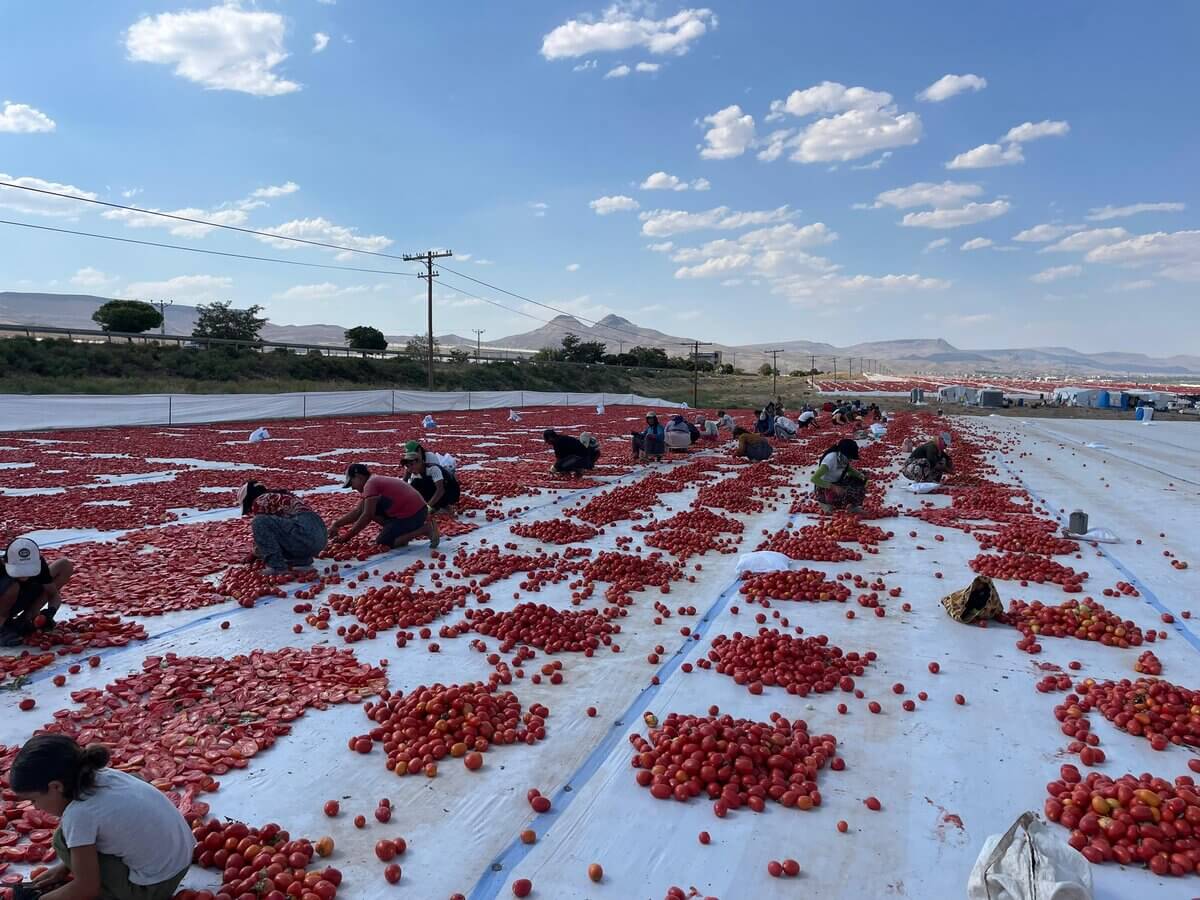 Kayserili Vekilden Dikkat Çeken Yeşilhisar Açıklaması!