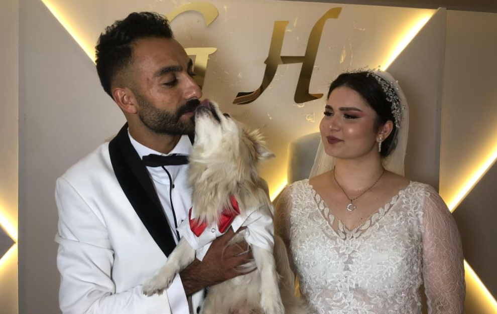 Hasan Yazgannn