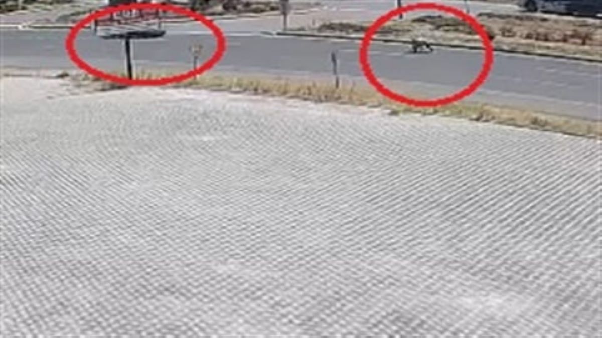 Kayseri’de Acı Olay Düşürdüğü Cüzdanını Almaya Çalışırken, Otomobilin Çarpmasıyla Can Verdi! 2