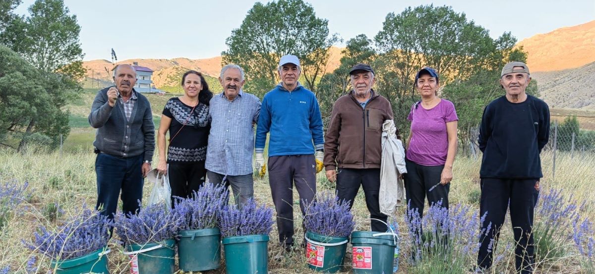 Kayseri’nin Cennetinde Hasat Başladı! 2