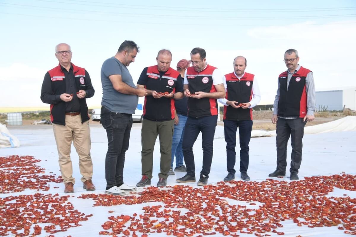 Kayseri’nin İlçesinden Avrupa Ülkelerine İhraç Ediliyor!  (1)