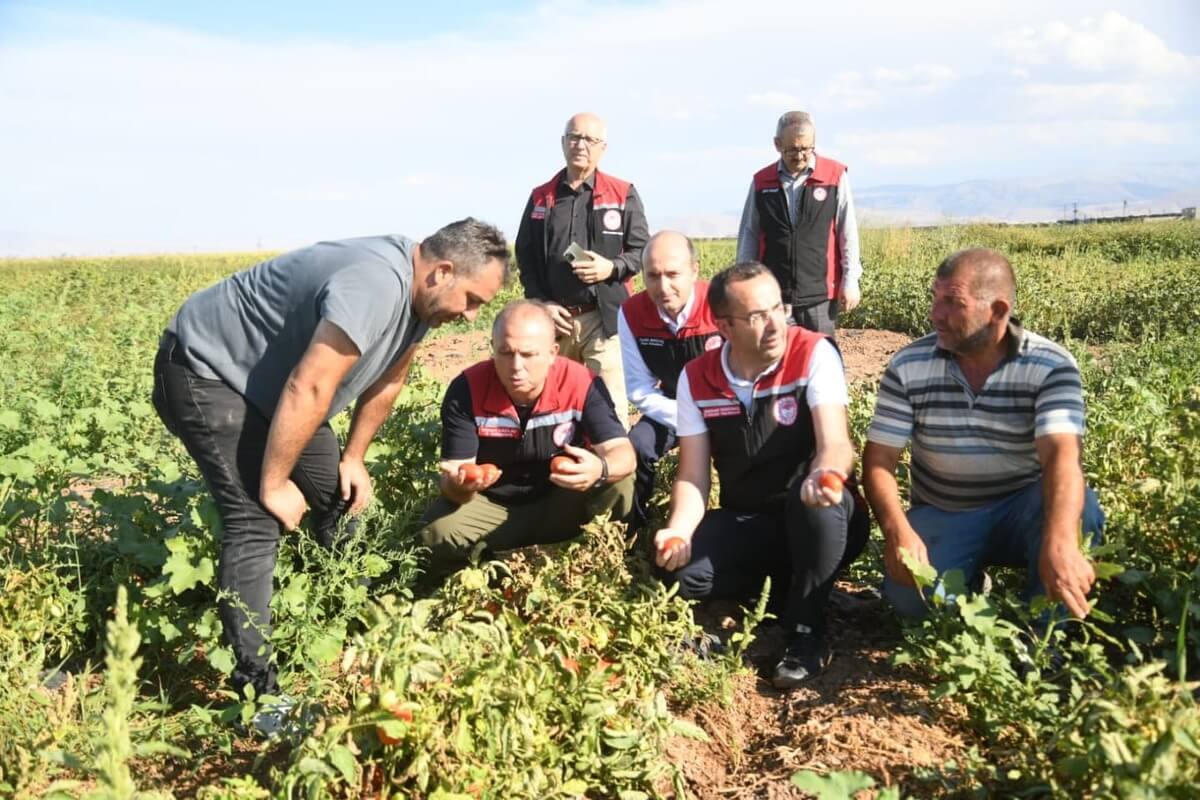 Kayseri’nin İlçesinden Avrupa Ülkelerine İhraç Ediliyor!  (2)