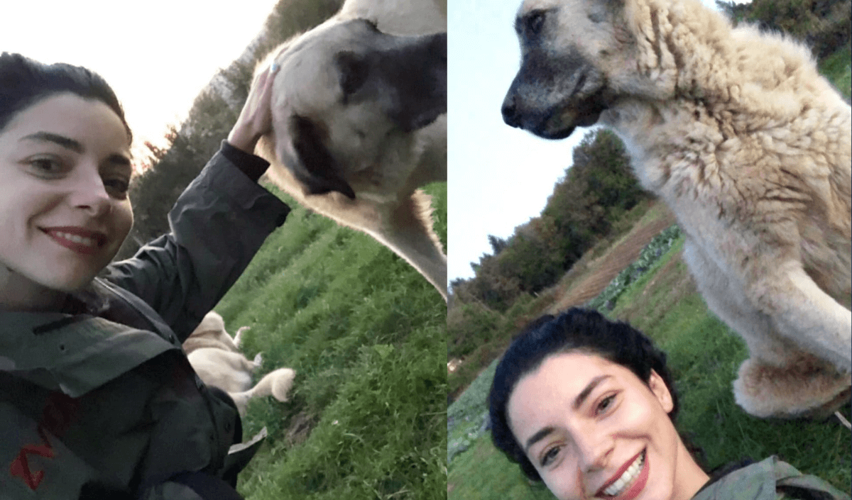 Ünlü Oyuncunun Paylaştığı Fotoğraf Ayrı, Gelen Yorumlar Ayrı Olay Oldu!