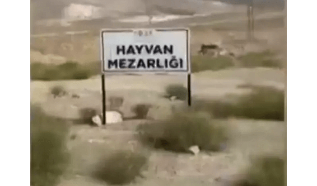Niğde’de Toplu Katliam İddiası! O Mezarlık Tüyler Ürpertti!-1
