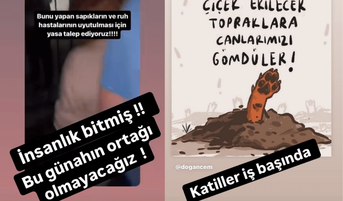 Lacivert Kırmızı Son Dakika Hareketli Instagram Gönderisi 2024 08 09T164651.128 (1)