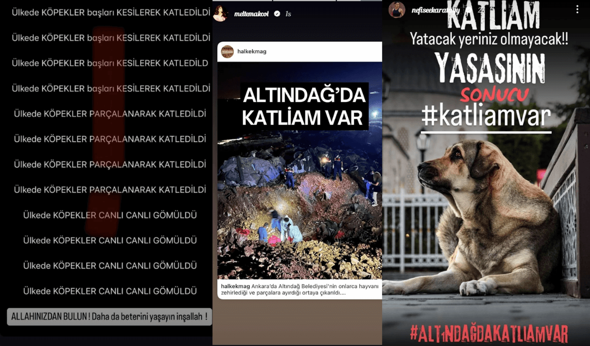 Ünlüler Dünyasında Sesler Yükseliyor! Altındağ Katliamına Büyük Tepki!-3