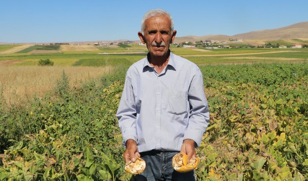 ‘Ortalıkta Adam Kalmadı’ (84)