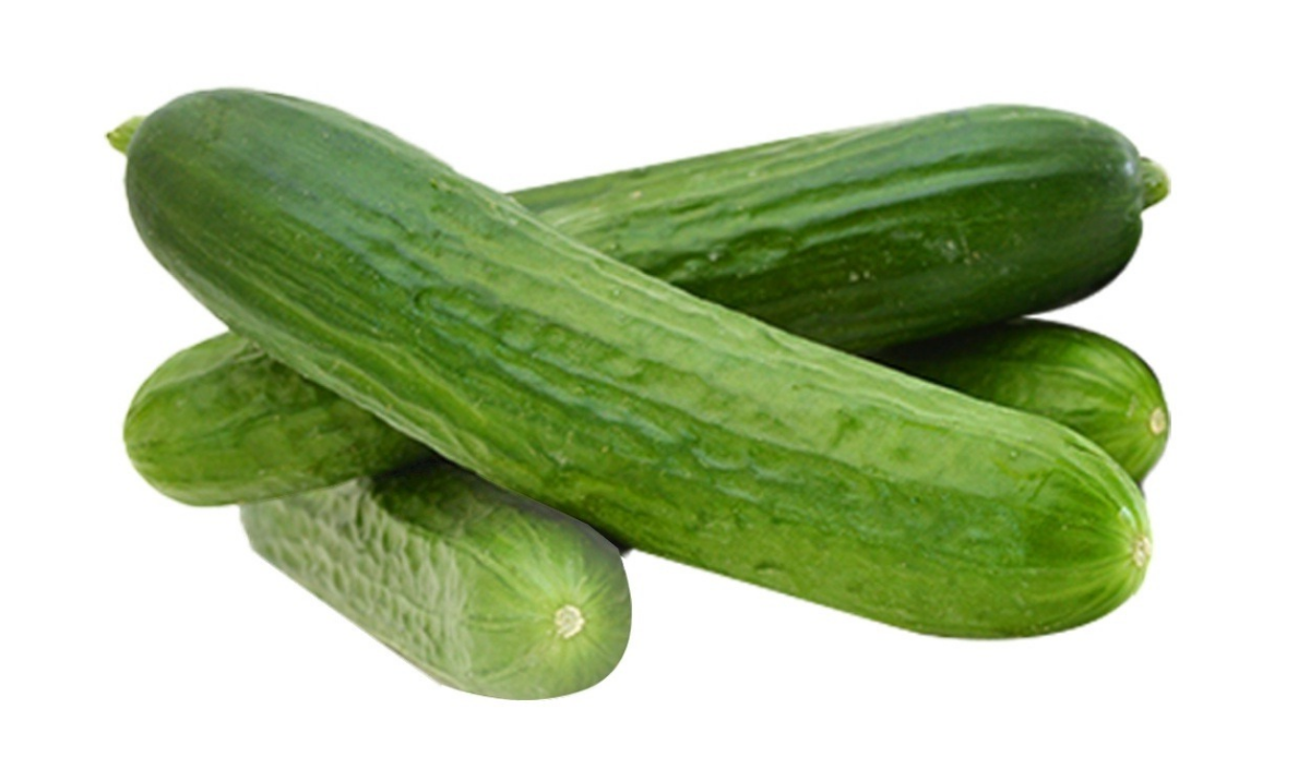 Salatalık