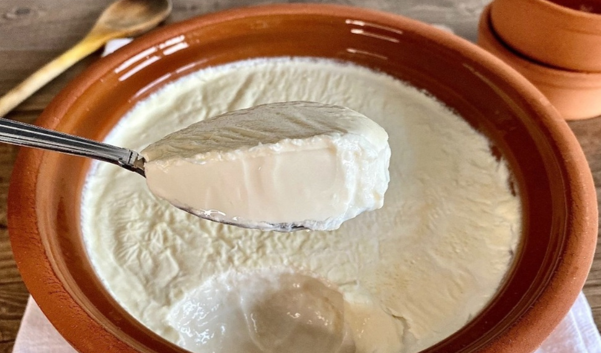 Yoğurt