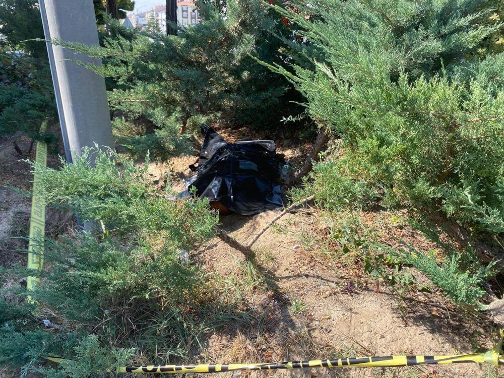 Yol Kenarındaki Çalılıkların İçinde Erkek Cesedi Bulundu!