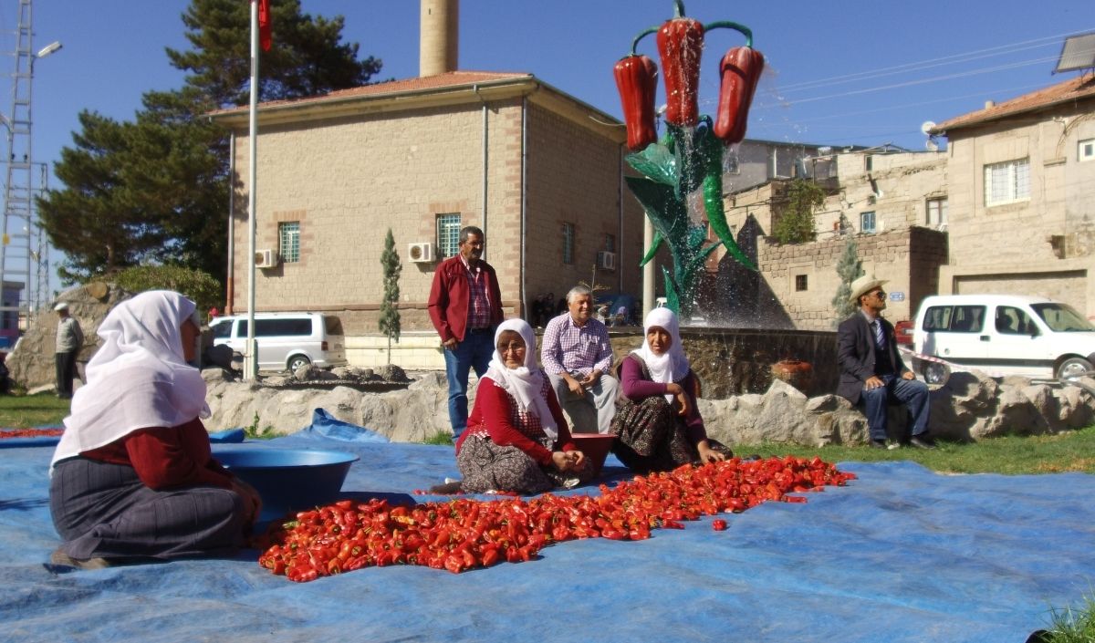 Çolak (2)-2