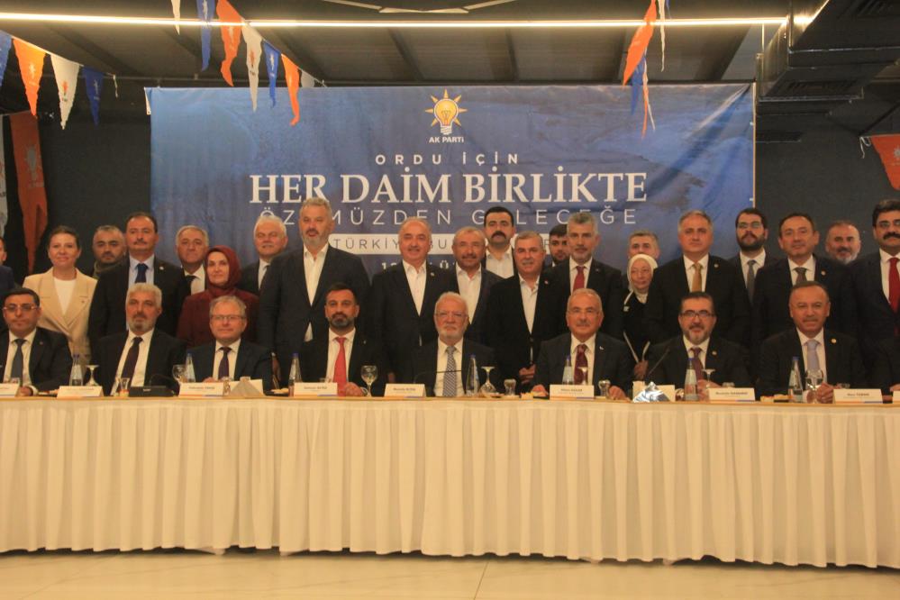 Elitaş1