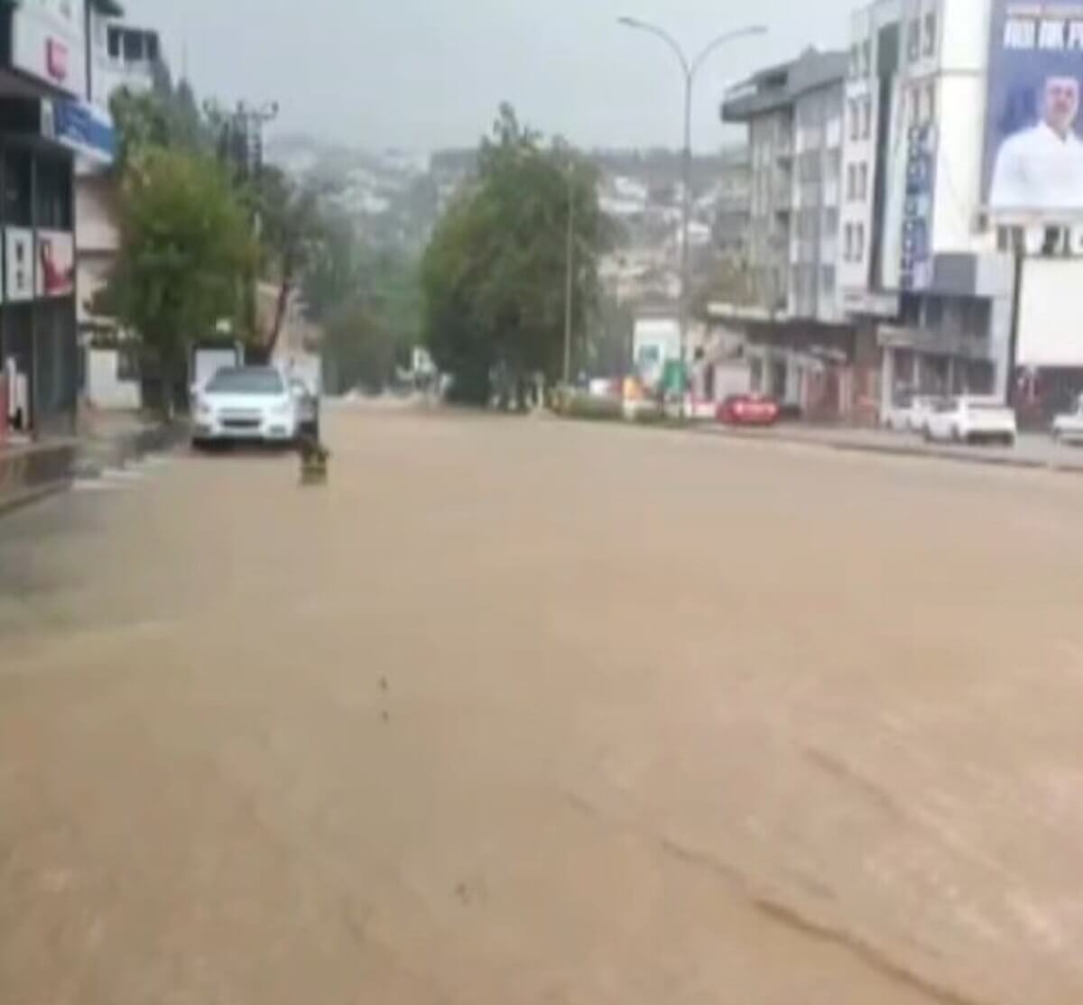 Feci Ölüm! Yıldırımın Çarptığı Bir Kişi Hayatını Kaybetti! (3)