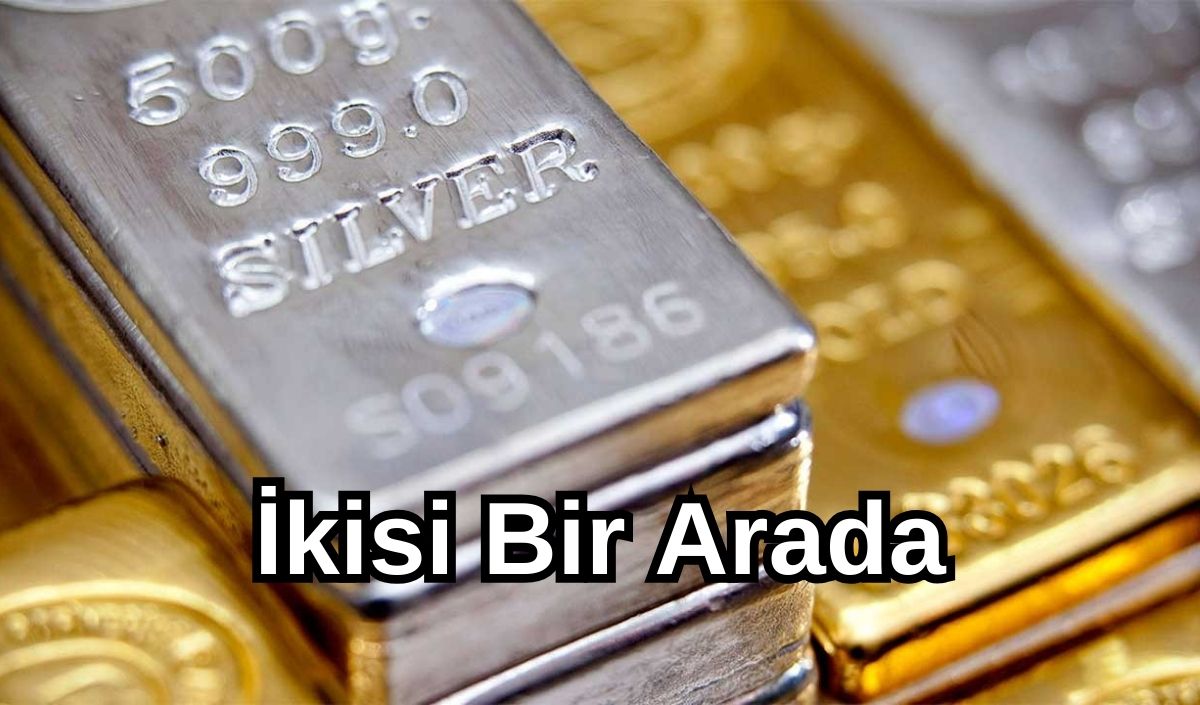 Gümüş (1)
