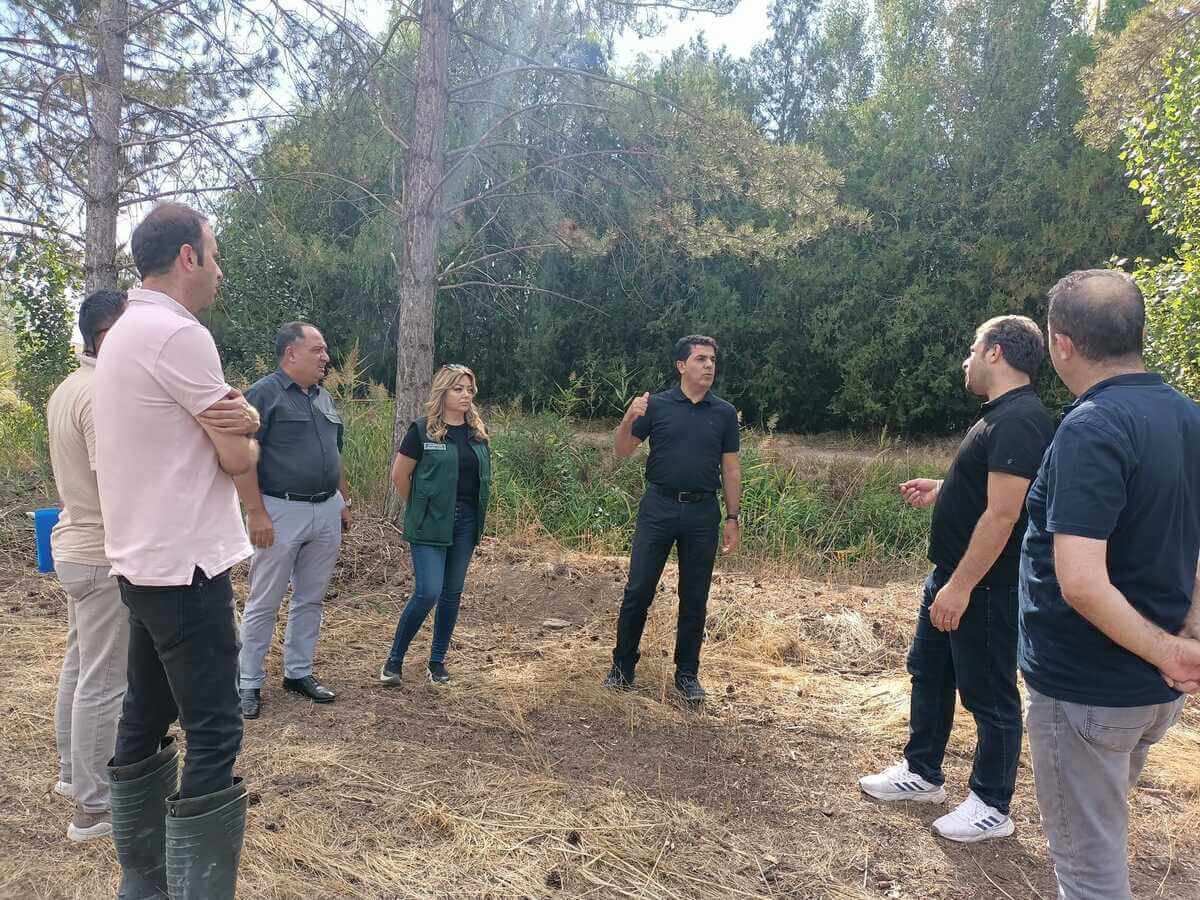 Kavak Ağaçlarının Kesildiği İddiaları İle Gündeme Gelmişti Yeni Gelişme Yaşandı (3)