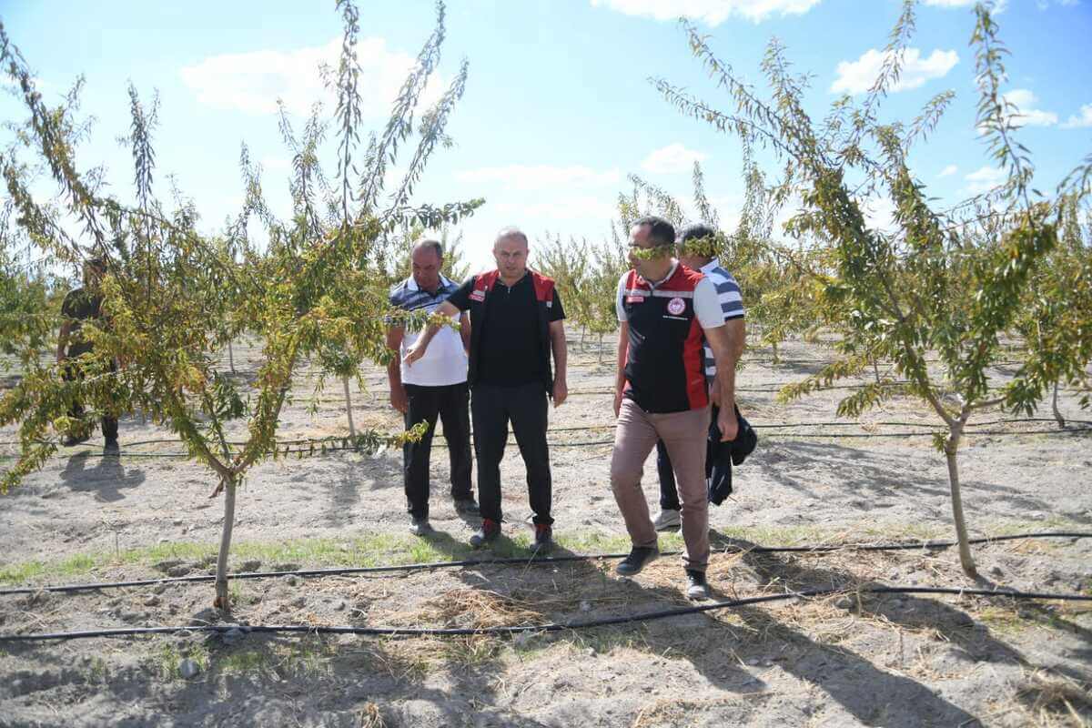 Kayseri’de Müdür Bakın Hangi Ağacın Öneminden Bahsetti (1)