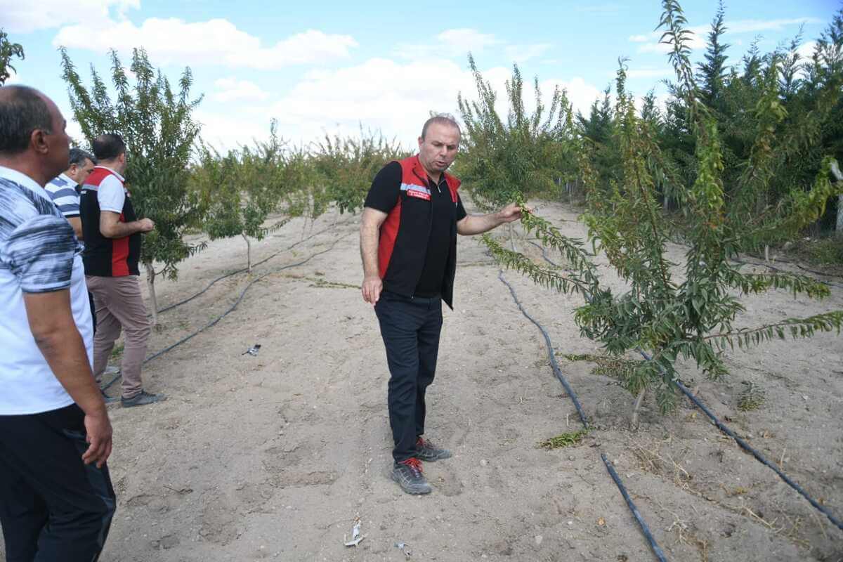 Kayseri’de Müdür Bakın Hangi Ağacın Öneminden Bahsetti (3)
