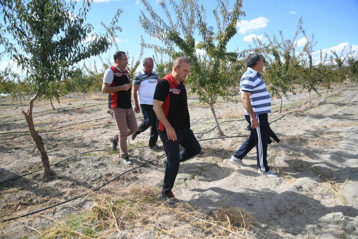 Kayseri’de Müdür Bakın Hangi Ağacın Öneminden Bahsetti (4)