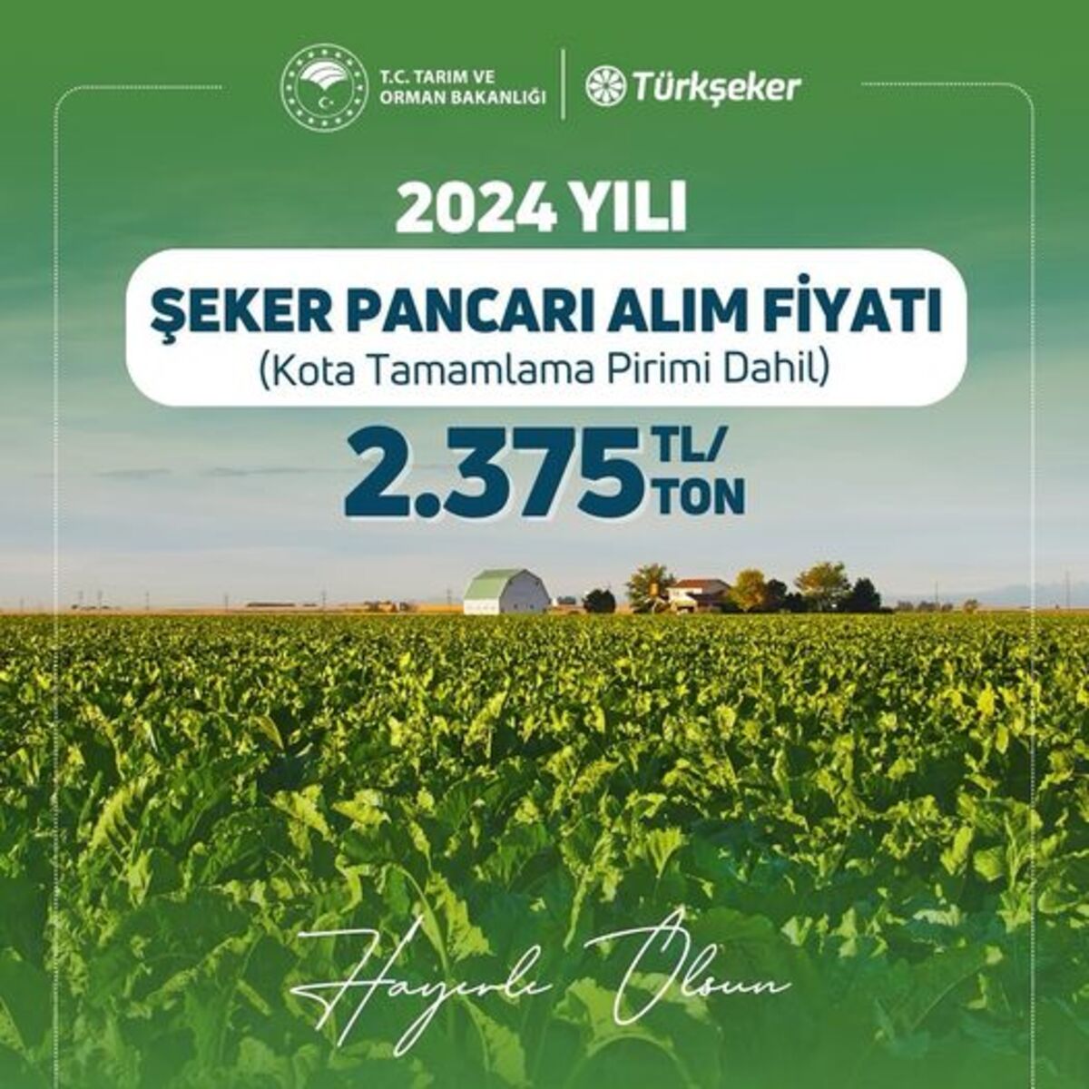 Kayseri’de Şeker Pancarı 2024 Alım Fiyatları Belli Oldu! (1)
