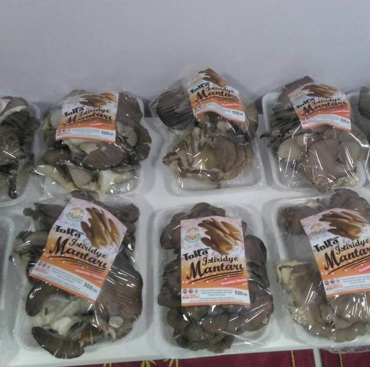 Kayseri’nin O İlçesinden Dünyanın En Büyük Market Zincirine Satılıyor (2)