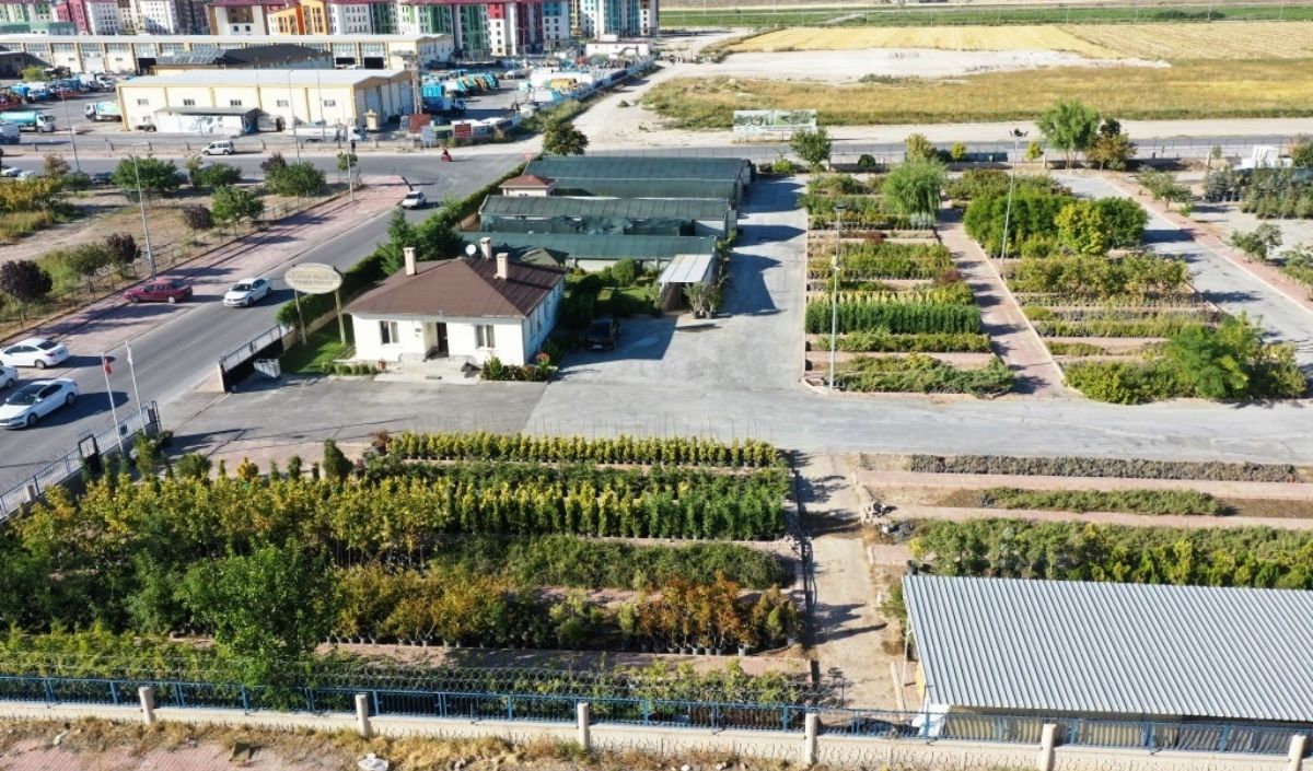 Kocasinayeşilll (3)