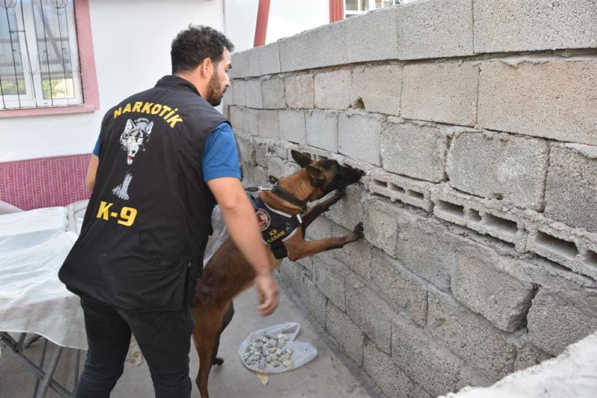 Şehit Polis Adına Zehir Tacirlerine Dev Operasyon 48 Gözaltı! 3