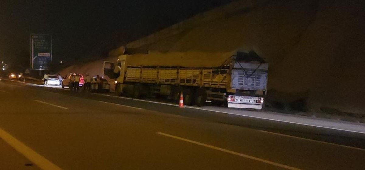 Tir’dan Atlayan Angus, Trafiği Felç Etti, İğneyle Vuruldu! 3
