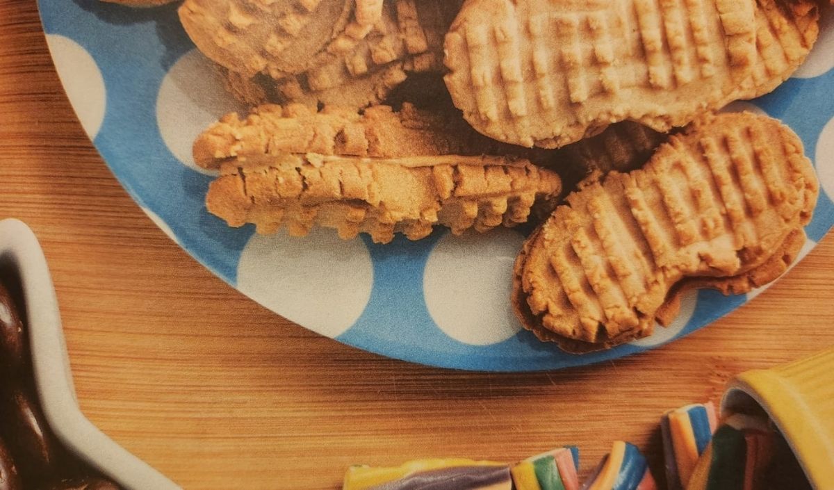 Yerfıstığı