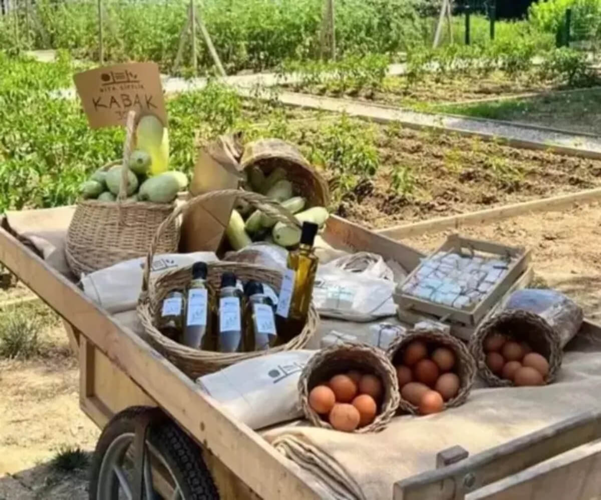 Ünlü sunucu her şeyi bırakıp oraya yerleşti! 17 dönümlük araziye çiftlik kurdu!