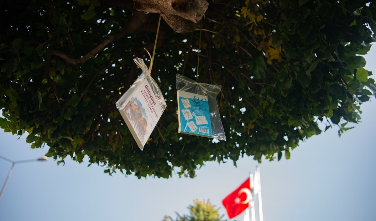 Iki Kitap Ağaç
