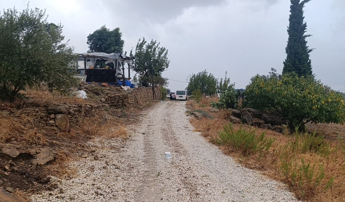 Konyaavtüfeği (1)